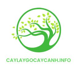 caylaygocaycanh.info